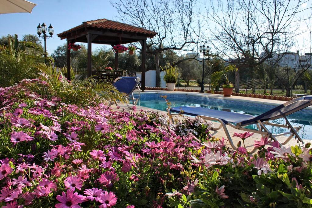 Villa Paradise بافوس الغرفة الصورة